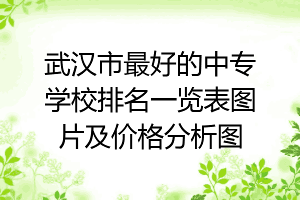 武汉市最好的中专学校排名一览表图片及价格分析图