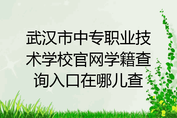 武汉市中专职业技术学校官网学籍查询入口在哪儿查