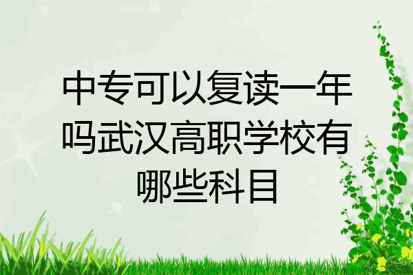 中专可以复读一年吗武汉高职学校有哪些科目