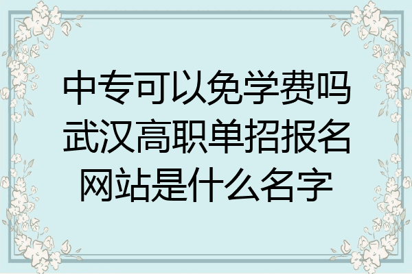 中专可以免学费吗武汉高职单招报名网站是什么名字