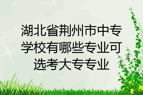 湖北省荆州市中专学校有哪些专业可选考大专专业