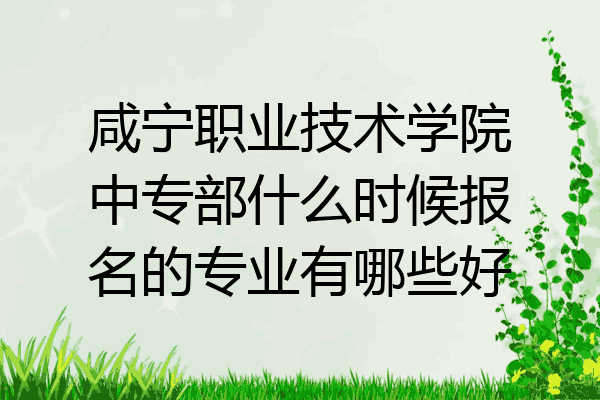咸宁职业技术学院中专部什么时候报名的专业有哪些好