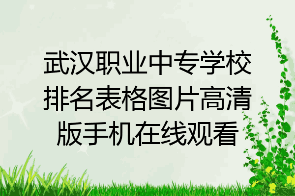 武汉职业中专学校排名表格图片高清版手机在线观看
