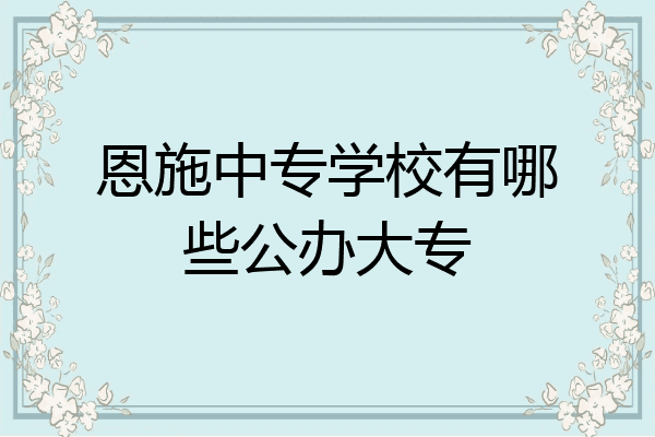 恩施中专学校有哪些公办大专