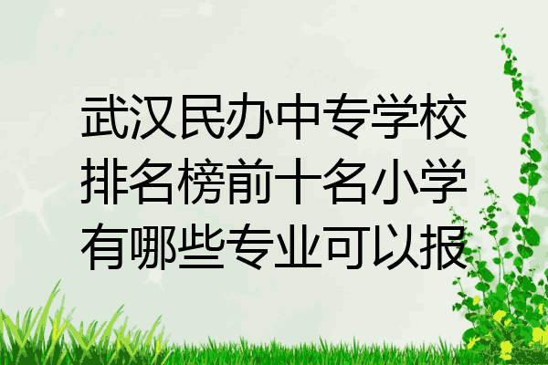 武汉民办中专学校排名榜前十名小学有哪些专业可以报