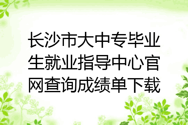 长沙市大中专毕业生就业指导中心官网查询成绩单下载