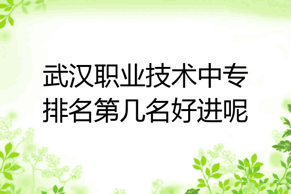 武汉职业技术中专排名第几名好进呢