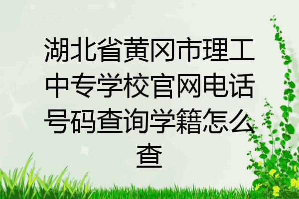 湖北省黄冈市理工中专学校官网电话号码查询学籍怎么查