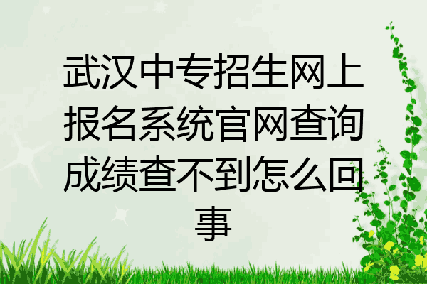 武汉中专招生网上报名系统官网查询成绩查不到怎么回事