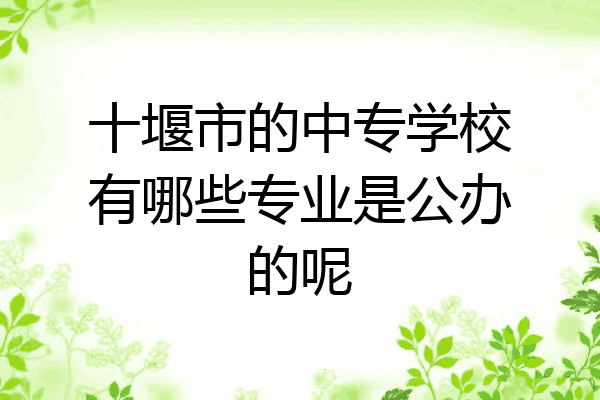 十堰市的中专学校有哪些专业是公办的呢