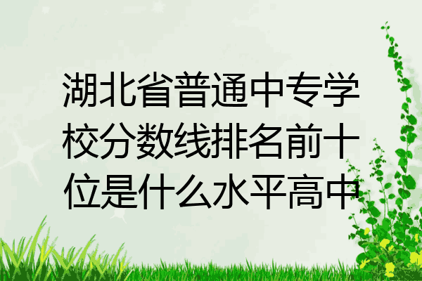 湖北省普通中专学校分数线排名前十位是什么水平高中