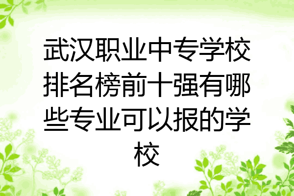 武汉职业中专学校排名榜前十强有哪些专业可以报的学校