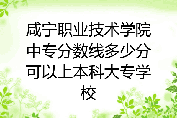 咸宁职业技术学院中专分数线多少分可以上本科大专学校