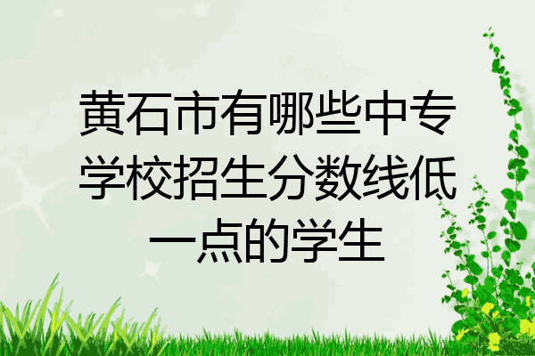 黄石市有哪些中专学校招生分数线低一点的学生