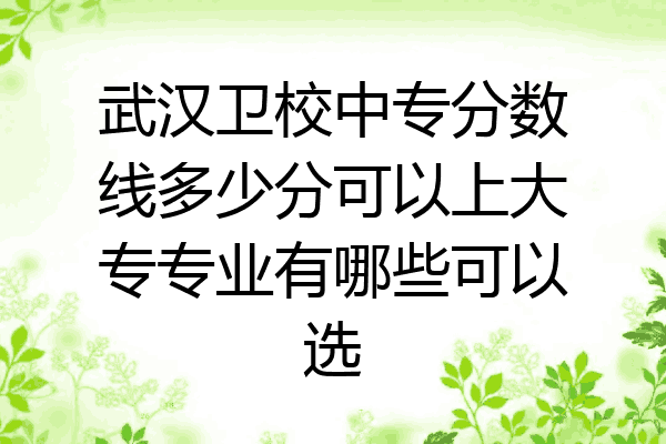 武汉卫校中专分数线多少分可以上大专专业有哪些可以选