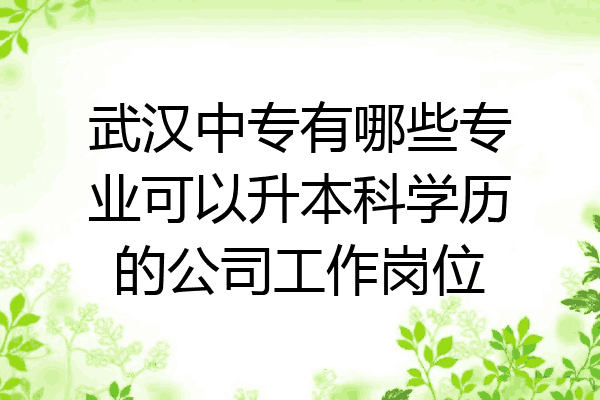 武汉中专有哪些专业可以升本科学历的公司工作岗位