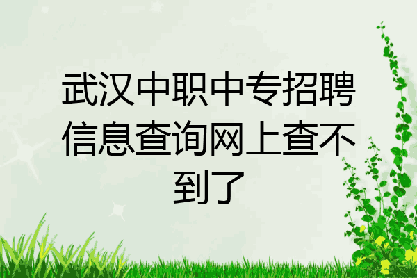 武汉中职中专招聘信息查询网上查不到了