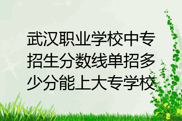 武汉职业学校中专招生分数线单招多少分能上大专学校