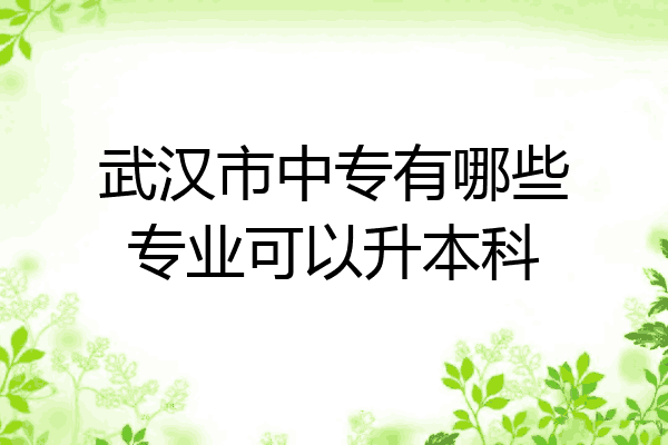武汉市中专有哪些专业可以升本科