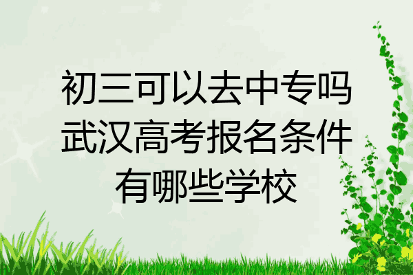 初三可以去中专吗武汉高考报名条件有哪些学校