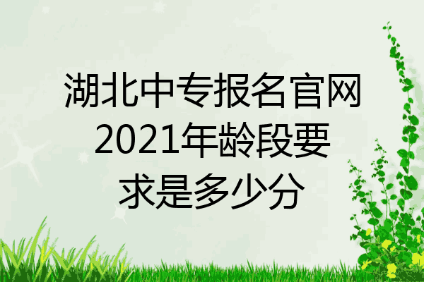 湖北中专报名官网2021年龄段要求是多少分