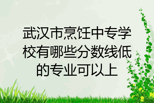 武汉市烹饪中专学校有哪些分数线低的专业可以上