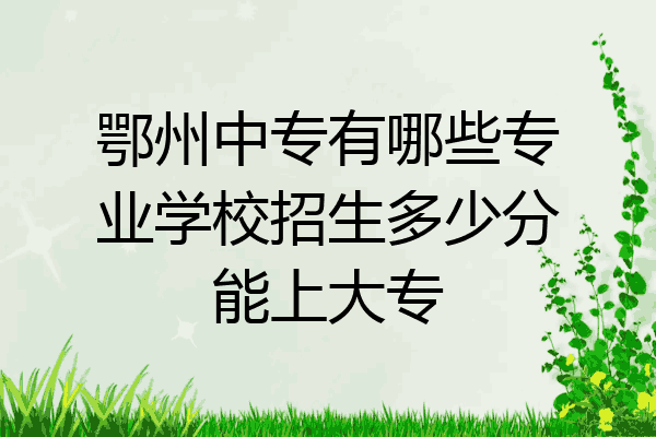 鄂州中专有哪些专业学校招生多少分能上大专