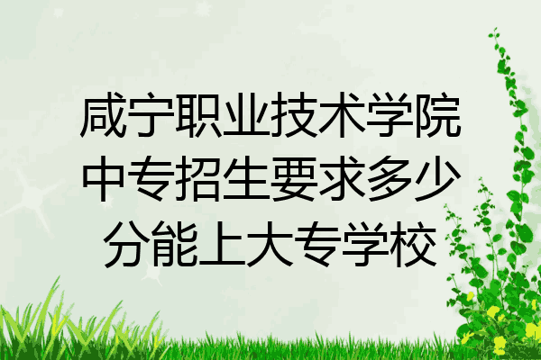 咸宁职业技术学院中专招生要求多少分能上大专学校