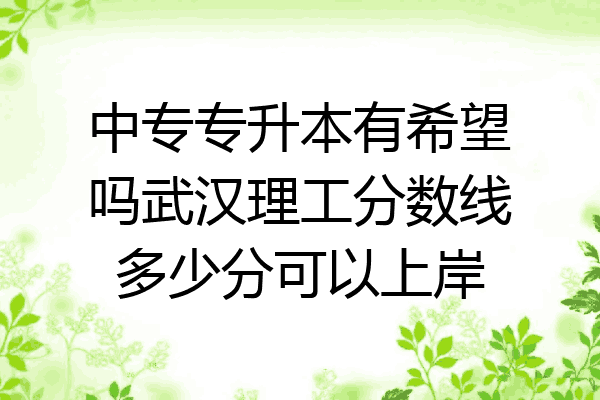 中专专升本有希望吗武汉理工分数线多少分可以上岸