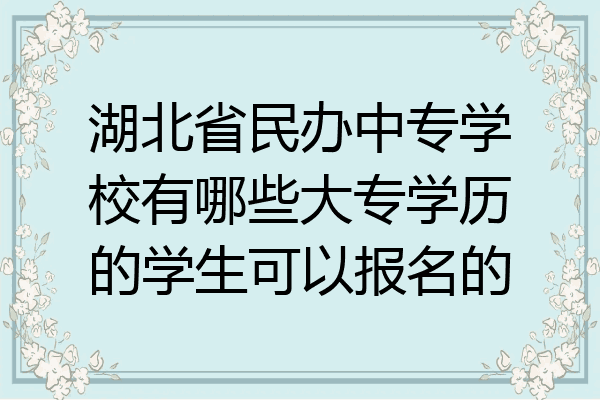 湖北省民办中专学校有哪些大专学历的学生可以报名的