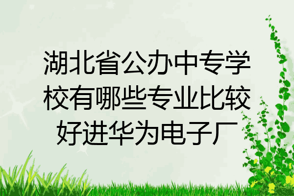 湖北省公办中专学校有哪些专业比较好进华为电子厂