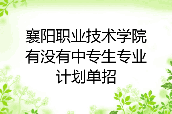 襄阳职业技术学院有没有中专生专业计划单招