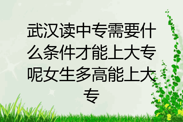 武汉读中专需要什么条件才能上大专呢女生多高能上大专