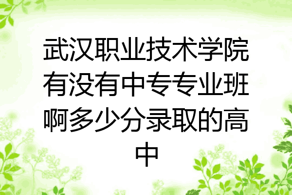 武汉职业技术学院有没有中专专业班啊多少分录取的高中