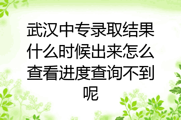 武汉中专录取结果什么时候出来怎么查看进度查询不到呢