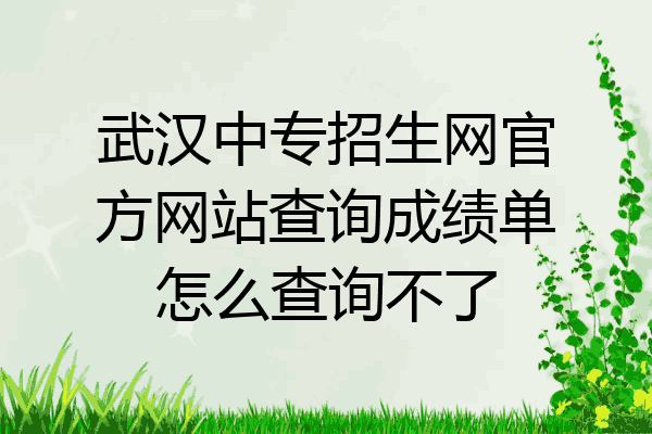 武汉中专招生网官方网站查询成绩单怎么查询不了