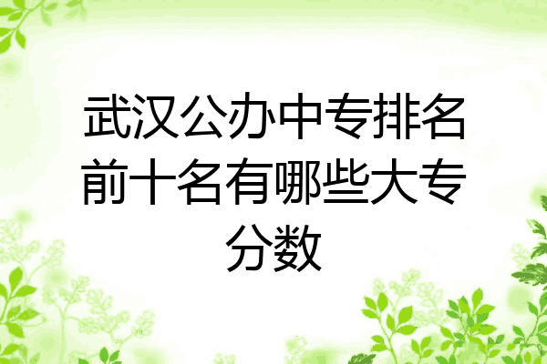 武汉公办中专排名前十名有哪些大专分数