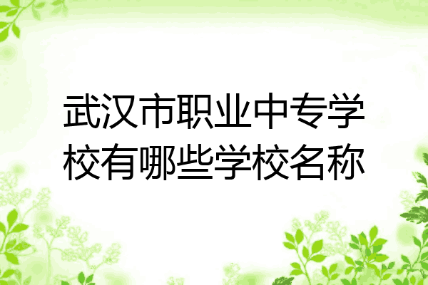武汉市职业中专学校有哪些学校名称