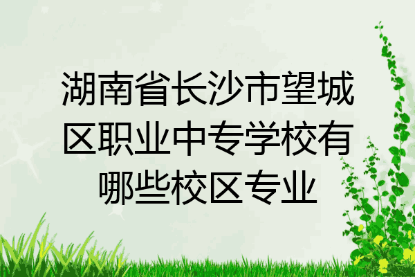 湖南省长沙市望城区职业中专学校有哪些校区专业