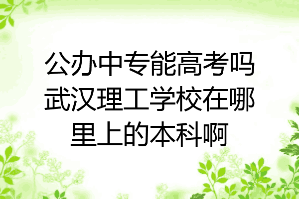 公办中专能高考吗武汉理工学校在哪里上的本科啊