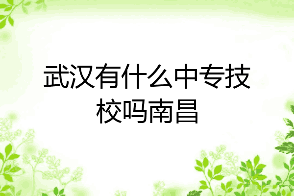 武汉有什么中专技校吗南昌