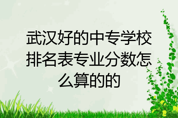 武汉好的中专学校排名表专业分数怎么算的的