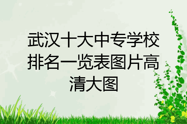 武汉十大中专学校排名一览表图片高清大图
