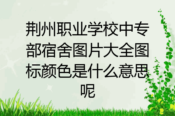 荆州职业学校中专部宿舍图片大全图标颜色是什么意思呢