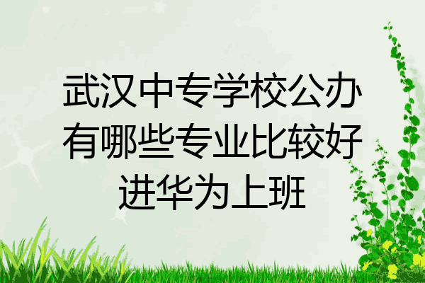 武汉中专学校公办有哪些专业比较好进华为上班
