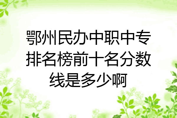 鄂州民办中职中专排名榜前十名分数线是多少啊