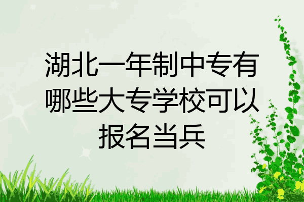 湖北一年制中专有哪些大专学校可以报名当兵