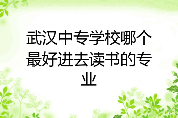 武汉中专学校哪个最好进去读书的专业