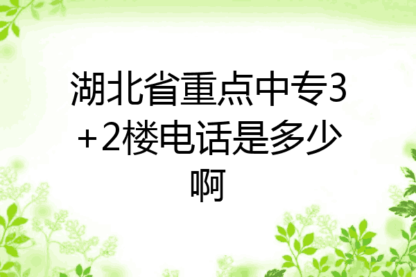 湖北省重点中专3+2楼电话是多少啊