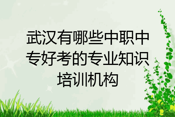 武汉有哪些中职中专好考的专业知识培训机构